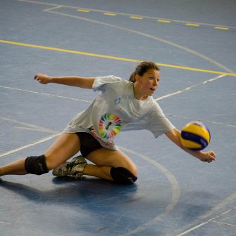 Pallavolo